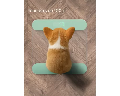 Напольные весы REDMOND SB 1811 зеленый