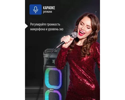 Портативная колонка AIWA CAS-710