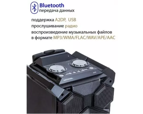 Портативная колонка NATIONAL NSM-V450