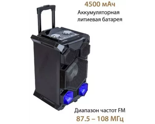 Портативная колонка NATIONAL NSM-V450