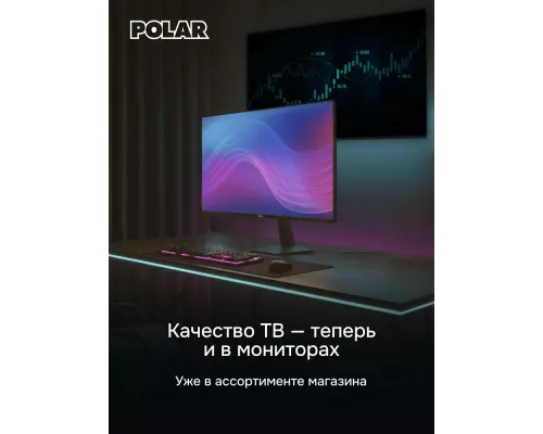 Телевизор POLAR P24L24T2C