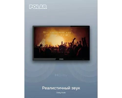 Телевизор POLAR P24L24T2C