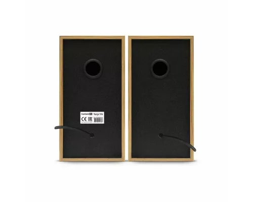 Акустическая система ExeGate EX289694RUS Tango 316