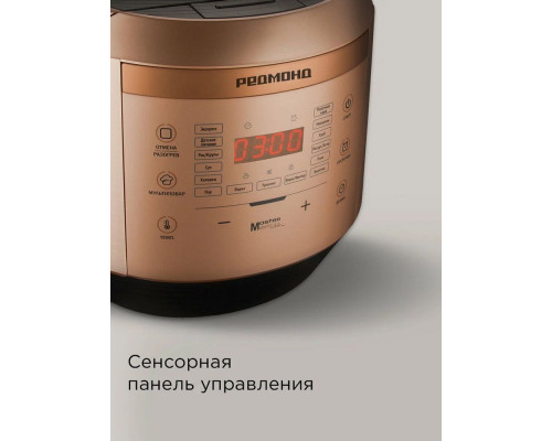 Мультиварка REDMOND RMC-450 бронза Мультиварка REDMOND RMC-450 бронза