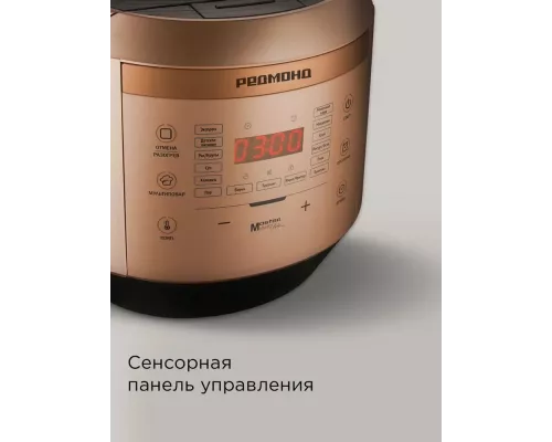Мультиварка REDMOND RMC-450 бронза