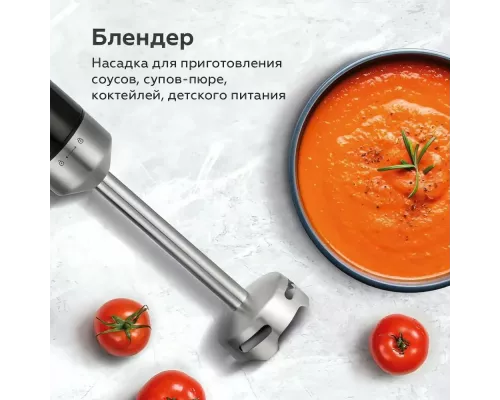 Блендер BQ HB533PS Black-Steel