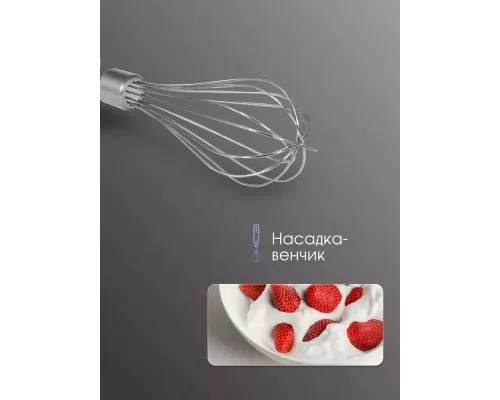 Блендер Zigmund & Shtain BH-350 M