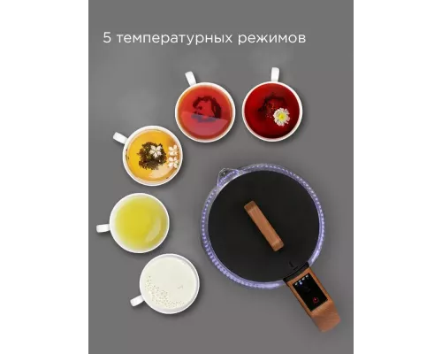 Чайник REDMOND KG251 черный с деревом