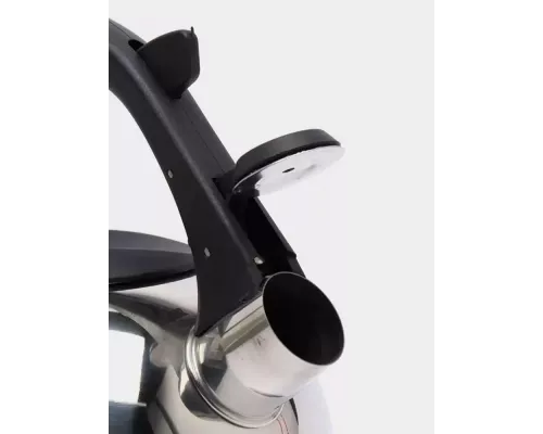 Чайник со свистком ДОБРЫНЯ DO-2908