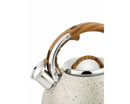 Чайник со свистком Rashel М-7909