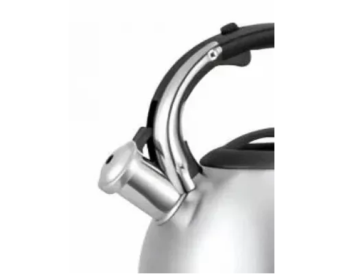 Чайник со свистком Rashel М-7919