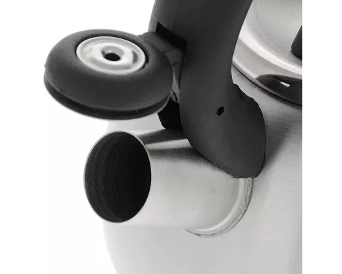 Чайник со свистком Teco TC-101