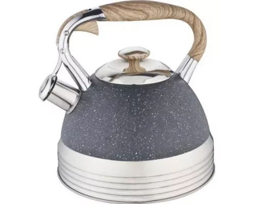 Чайник со свистком WINNER WR-5029