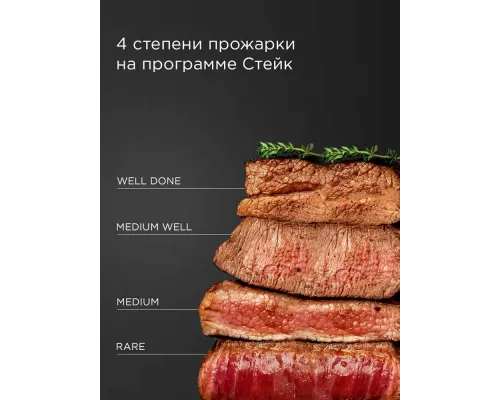 Гриль REDMOND SteakMaster GM 303 серый