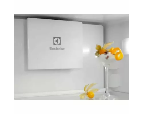 Холодильник Electrolux ENT6ME19S