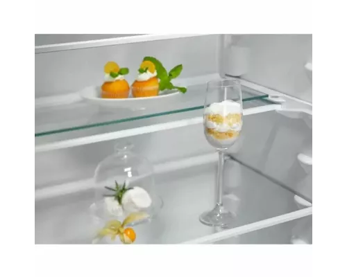 Холодильник Electrolux ENT6ME19S