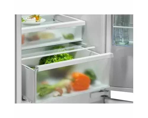Холодильник Electrolux ENT6ME19S