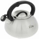 Чайник со свистком Teco TC-101