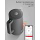 Чайник REDMOND SkyKettle KM231S серый