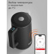 Чайник REDMOND SkyKettle KM231S черный