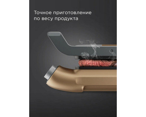 Гриль REDMOND SteakMaster GM 303 бронзовый Гриль REDMOND SteakMaster GM 303 бронзовый