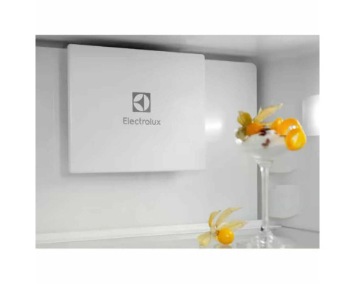Холодильник Electrolux ENT6ME19S