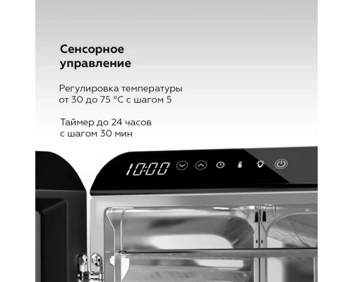 Сушилка для овощей и фруктов BQ FD1006 Black-Steel Сушилка для овощей и фруктов BQ FD1006 Black-Steel