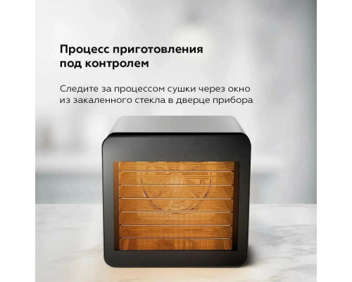 Сушилка для овощей и фруктов BQ FD1006 Black-Steel Сушилка для овощей и фруктов BQ FD1006 Black-Steel