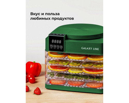 Сушилка для овощей и фруктов Galaxy Line GL 2630 зеленый Сушилка для овощей и фруктов Galaxy Line GL 2630 зеленый