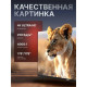 Телевизор LEFF 43U680T черный