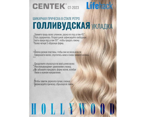 Выпрямитель CENTEK CT-2033 Выпрямитель CENTEK CT-2033