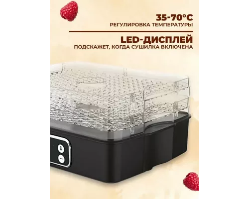 Сушилка для овощей и фруктов Blackton Bt FD1112 Black