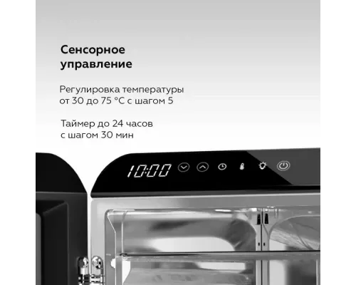 Сушилка для овощей и фруктов BQ FD1006 Black-Steel