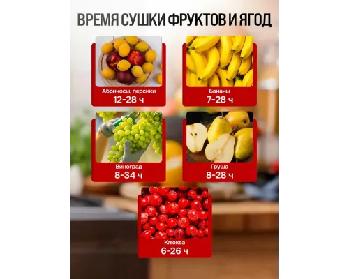 Сушилка для овощей и фруктов BRAYER BR1907