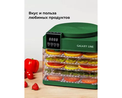 Сушилка для овощей и фруктов Galaxy Line GL 2630 зеленый