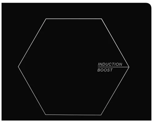 Варочная поверхность MONSHER MHI 3002