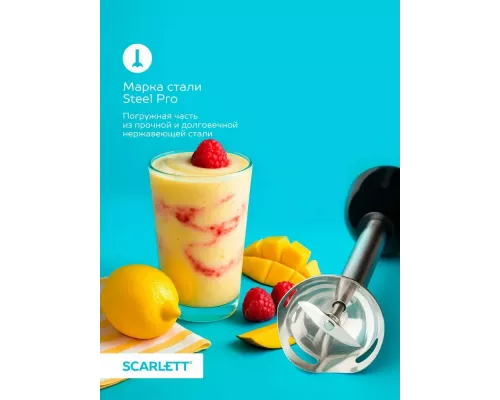 Блендер Scarlett SC-HB42M47