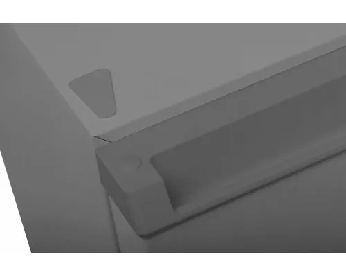 Холодильник Hyundai CO10031H серебристый