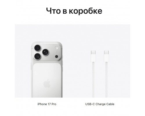 Смартфон Apple iPhone 17 Pro 256GB Silver (1Sim) Смартфон Apple iPhone 17 Pro 256GB Silver (1Sim)
