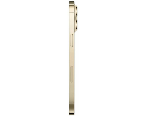 Смартфон Apple iPhone 14 Pro Max 1TB Gold (1Sim) Смартфон Apple iPhone 14 Pro Max 1TB Gold (1Sim)