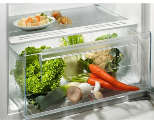 Встраиваемый холодильник Electrolux LRB3AE12S Встраиваемый холодильник Electrolux LRB3AE12S