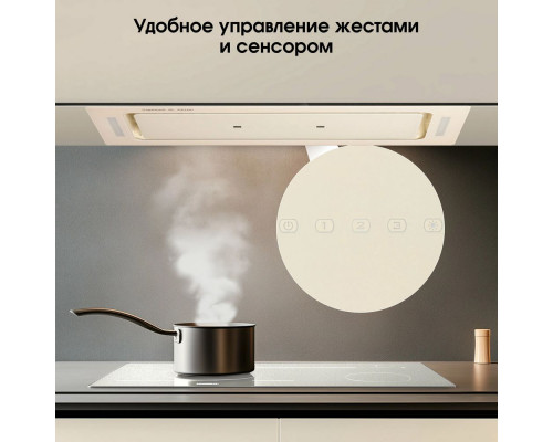 Встраиваемая вытяжка Zigmund & Shtain K 014.7 X бежевый Встраиваемая вытяжка Zigmund & Shtain K 014.7 X бежевый