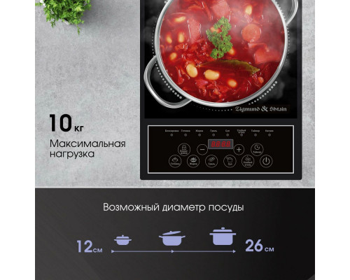 Настольная плита Zigmund & Shtain ZIP-557 Настольная плита Zigmund & Shtain ZIP-557