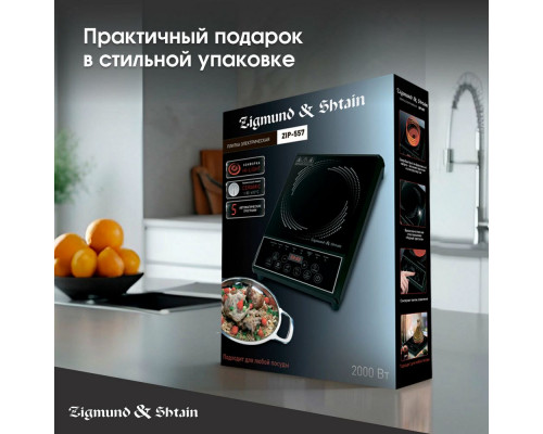 Настольная плита Zigmund & Shtain ZIP-557 Настольная плита Zigmund & Shtain ZIP-557