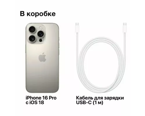 Смартфон Apple iPhone 16 Pro 256GB Natural Titanium (1Sim)