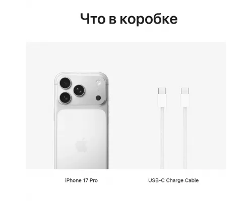 Смартфон Apple iPhone 17 Pro 256GB Silver (1Sim)