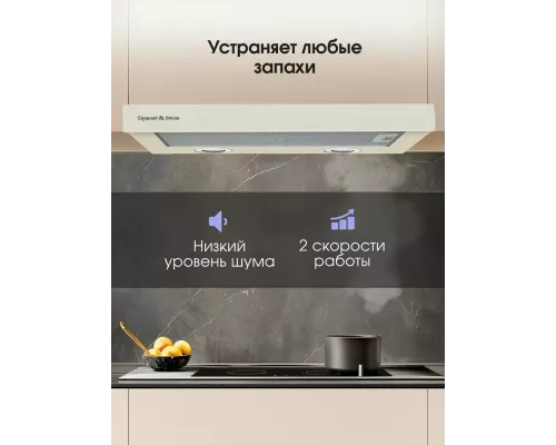 Встраиваемая вытяжка Zigmund & Shtain K 017.6 X бежевый