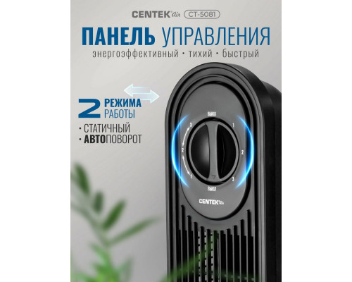 Вентилятор CENTEK CT-5081