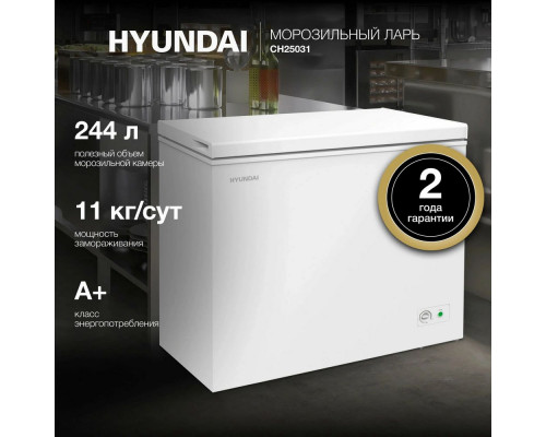 Морозильный ларь Hyundai CH25031 белый
