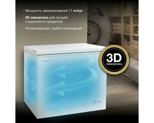 Морозильный ларь Hyundai CH25031 белый